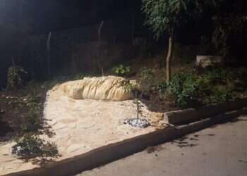 הוסרה האנדרטה לזכר כנפאני; מקימיה: "האדמה אדמתנו"