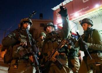 צילום: דו''צ