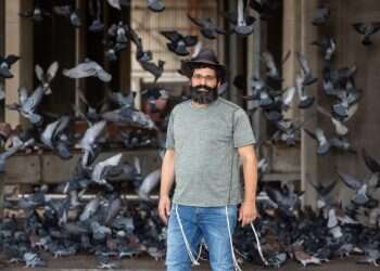 צילום: אבישג שאר-ישוב