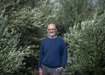 צילום: אבישג שאר-ישוב