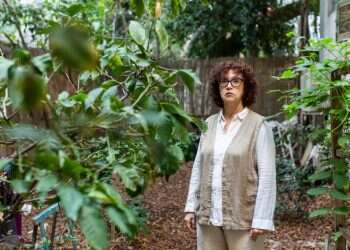 צילום: אבישג שאר־ישוב