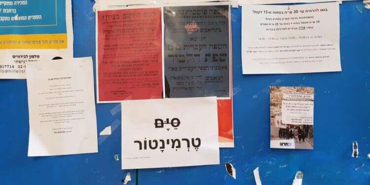 כרזות המחאה באוניברסיטה. צילום: תא אם תרצו באוני׳ העברית צילום: תא אם תרצו באוני׳ העברית