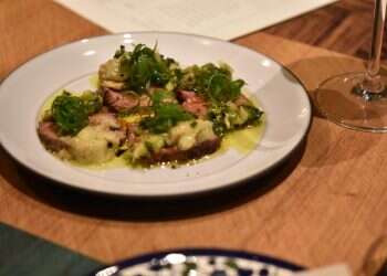 צילום: חן קורן