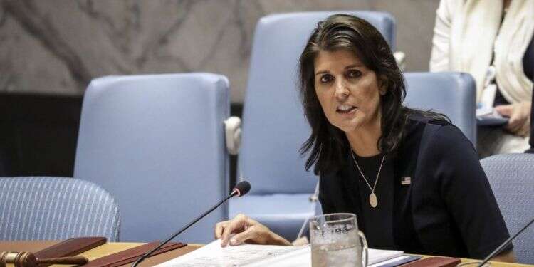 ניקי היילי באו צילום: AFP