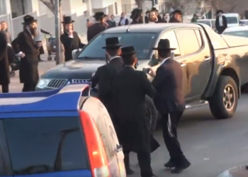 צילום: צילום מסך