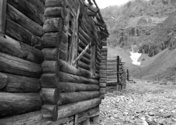 צילום: שאטרסטוק