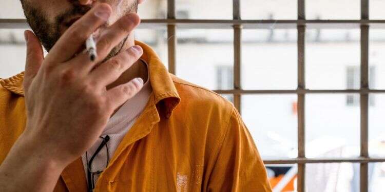 צילום: דן חיימוביץ