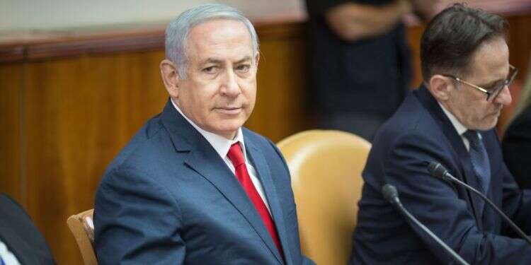 צילום: אמיל סלמן