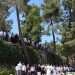 יום הזיכרון בהר הרצל. צילום: מרים צחי צילום: מרים צחי