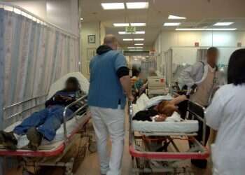 צילום: דודו גרינשפן