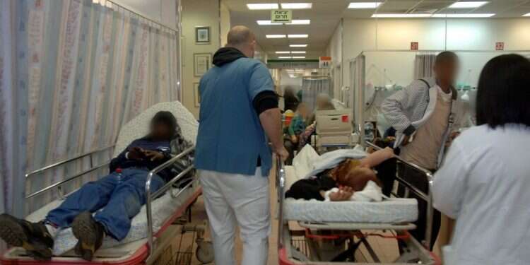 צילום: דודו גרינשפן