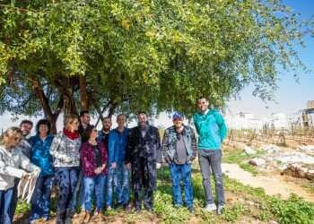 צילום: יוסי אלוני