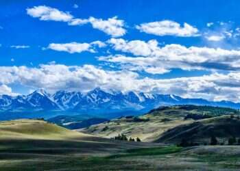 צילום: שאטרסטוק