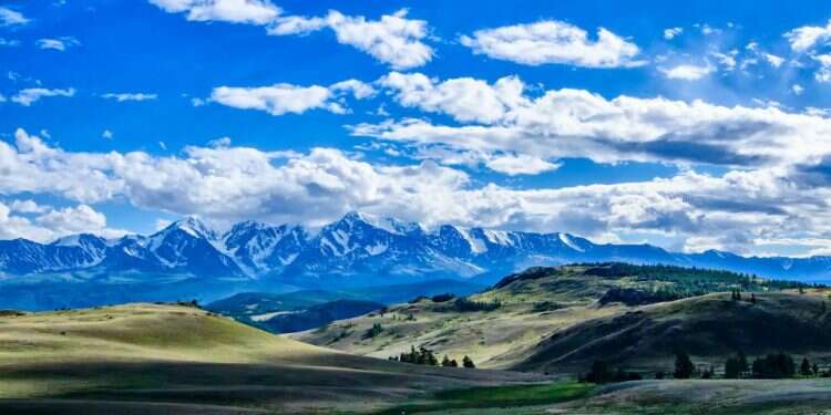 צילום: שאטרסטוק צילום: שאטרסטוק