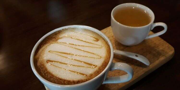 צילום: שאטרסטוק צילום: שאטרסטוק