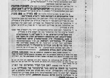 צילום: שם עולם