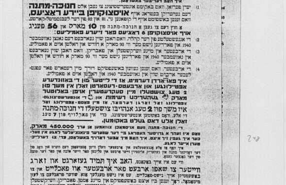 צילום: שם עולם