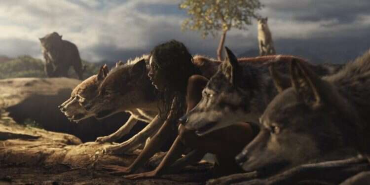 צילום: נטפליקס