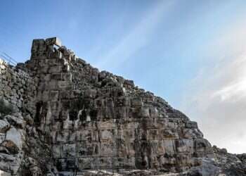 צילום: המכללה האקדמית תל-חי