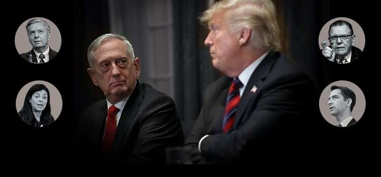 טראמפ, מאטיס וחלק מהמועמדים. צילום: גטי אימג'ס, AP, רויטרס, EPA צילום: גטי אימג'ס, AP, רויטרס, EPA