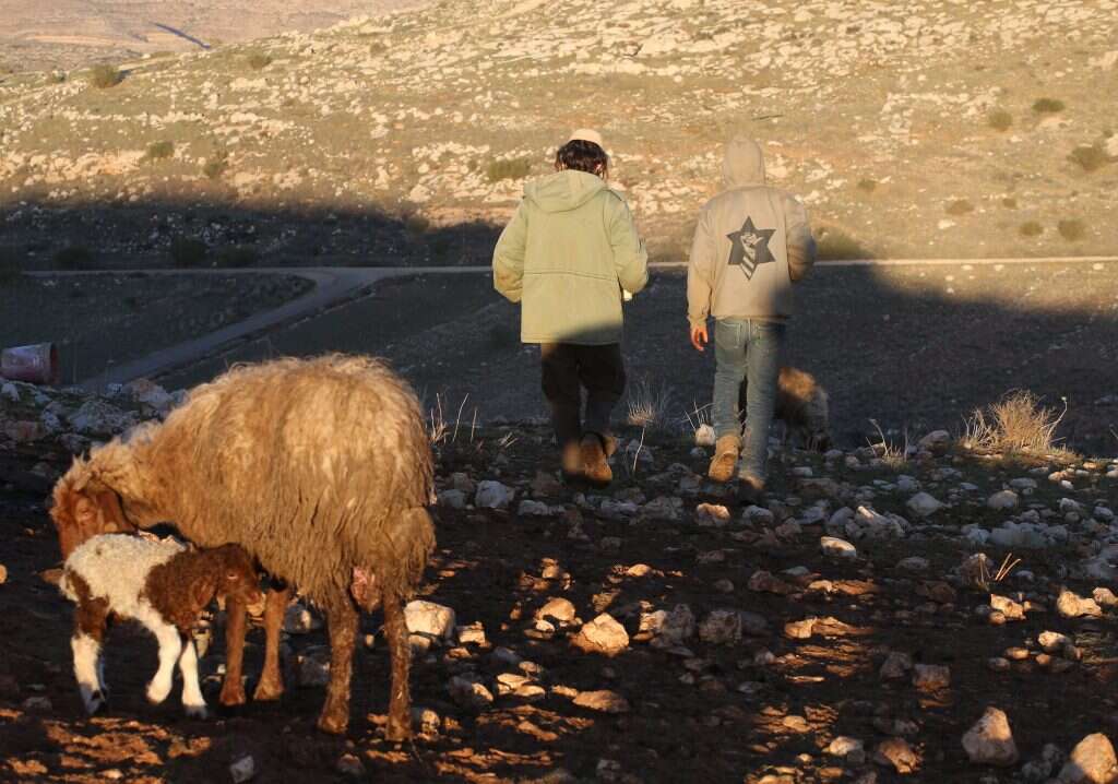 צילום: מרים צחי
