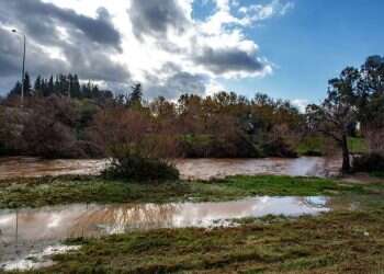 צילום: אייל מרגולין ג'יני