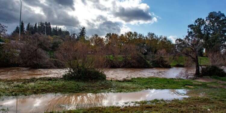 צילום: אייל מרגולין ג'יני