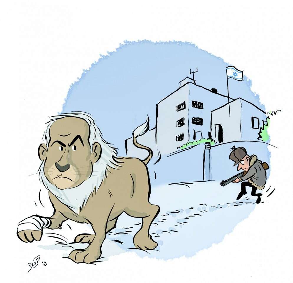 איור: שי צ'רקה