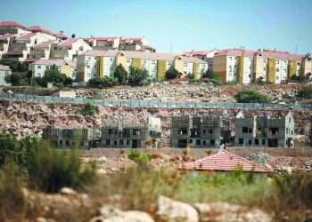 צילום: יהושע יוסף