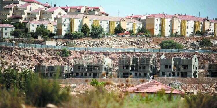 צילום: יהושע יוסף