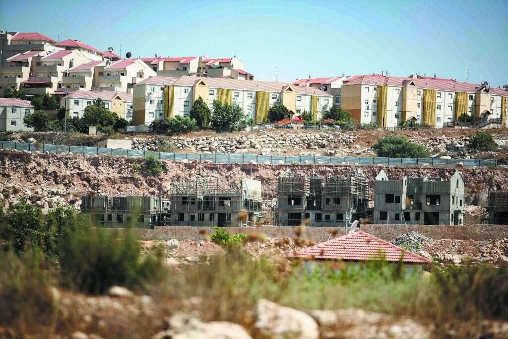 צילום: יהושע יוסף