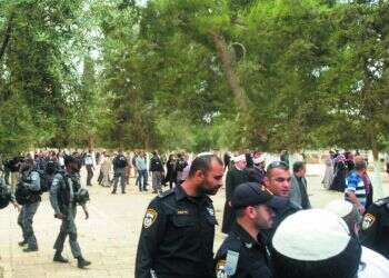 צילום: אליסף אופן