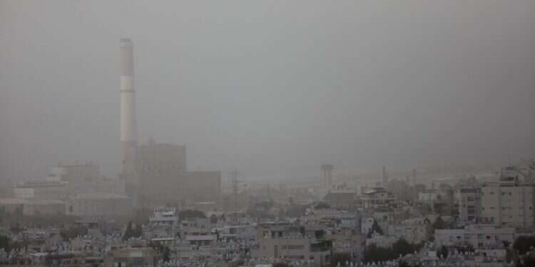 צילום: גדעון מרקוביץ