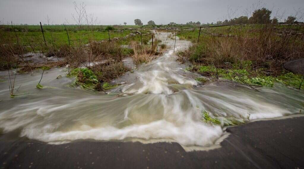 זרימה בנחלי הגולן. צילום: מאור קינסבורסקי, פלאש 90 צילום: מאור קינסבורסקי, פלאש 90
