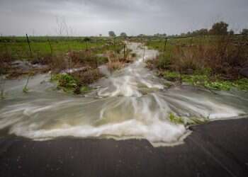 צילום: מאור קינסבורסקי, פלאש 90