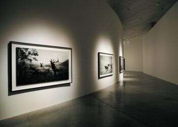 צילום: גיא יחיאלי