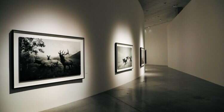 צילום: גיא יחיאלי