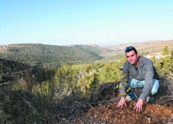 צילום: מרים צחי