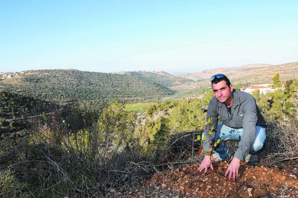 צילום: מרים צחי