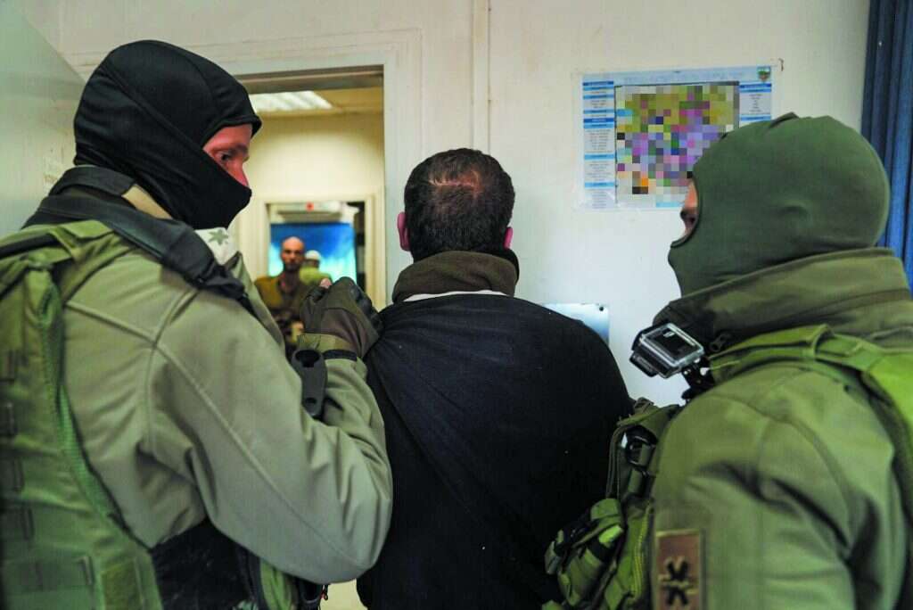 צילום: דו"צ