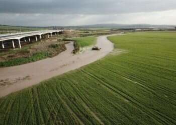 צילום: רשות ניקוז ונחלים קישון