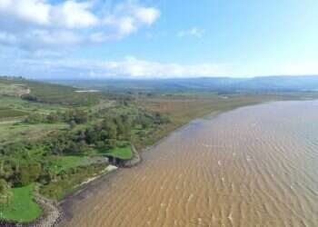 צילום: שי מזרחי, רשות הכינרת
