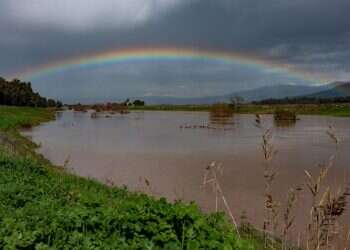 צילום: אייל מרגולין ג'יני