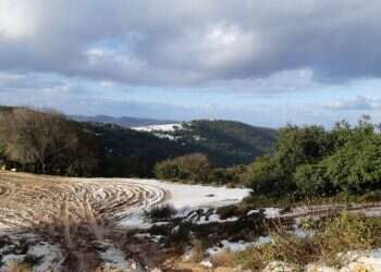 צילום: גיא זהרוני, רשות הטבע והגנים