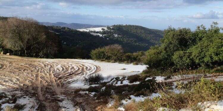 בוקר טוב ומושלג בפסגת הר מירון. צילום: גיא זהרוני, רשות הטבע והגנים צילום: גיא זהרוני, רשות הטבע והגנים