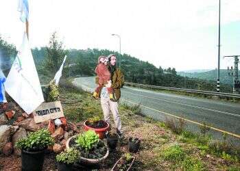 צילום: מרים צחי