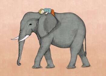 איור: שרון ארדיטי