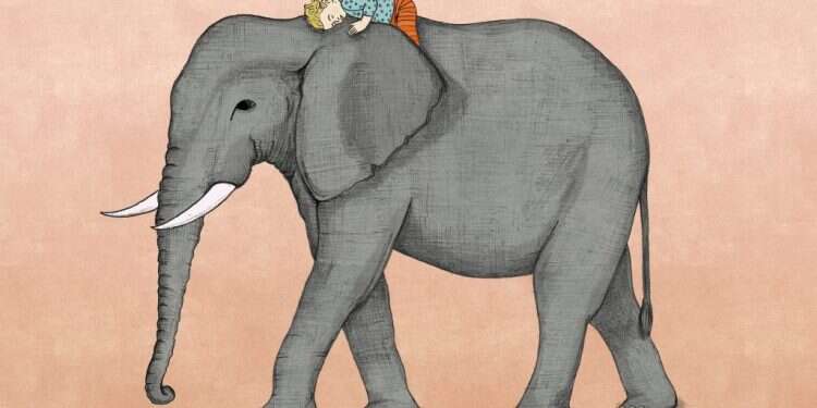 איור: שרון ארדיטי איור: שרון ארדיטי