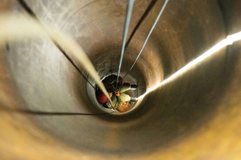 צילום: דו"צ