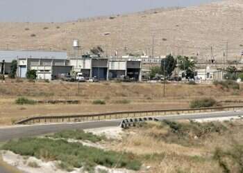 צילום: דודי ועקנין